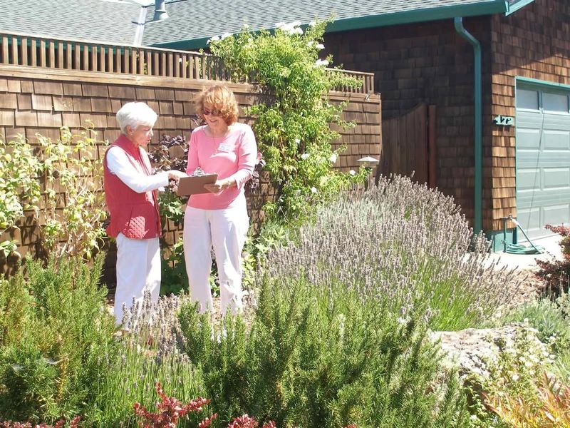 State And Local Rebate Programs Offset Costs