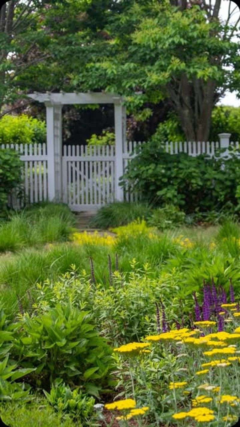 Reduced Lawn Areas With Meadow Patches