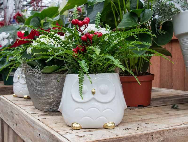 Using Decorative Containers for Style