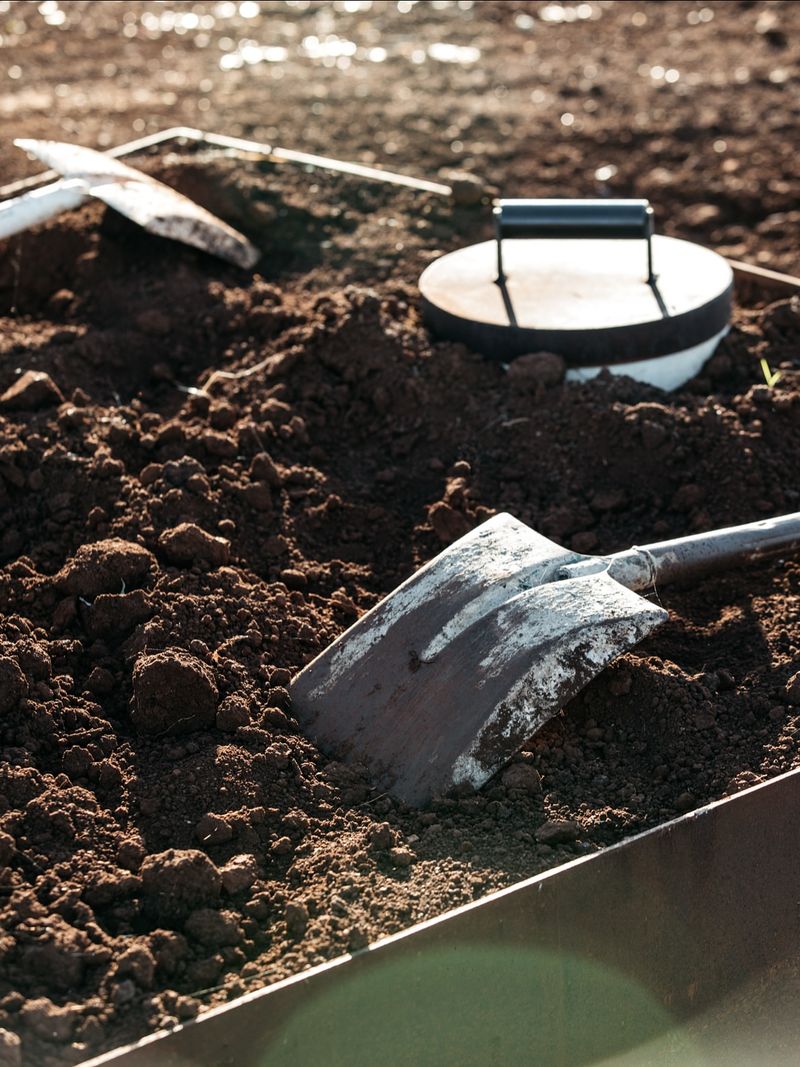 Children Face Greater Health Risks From Soil Lead