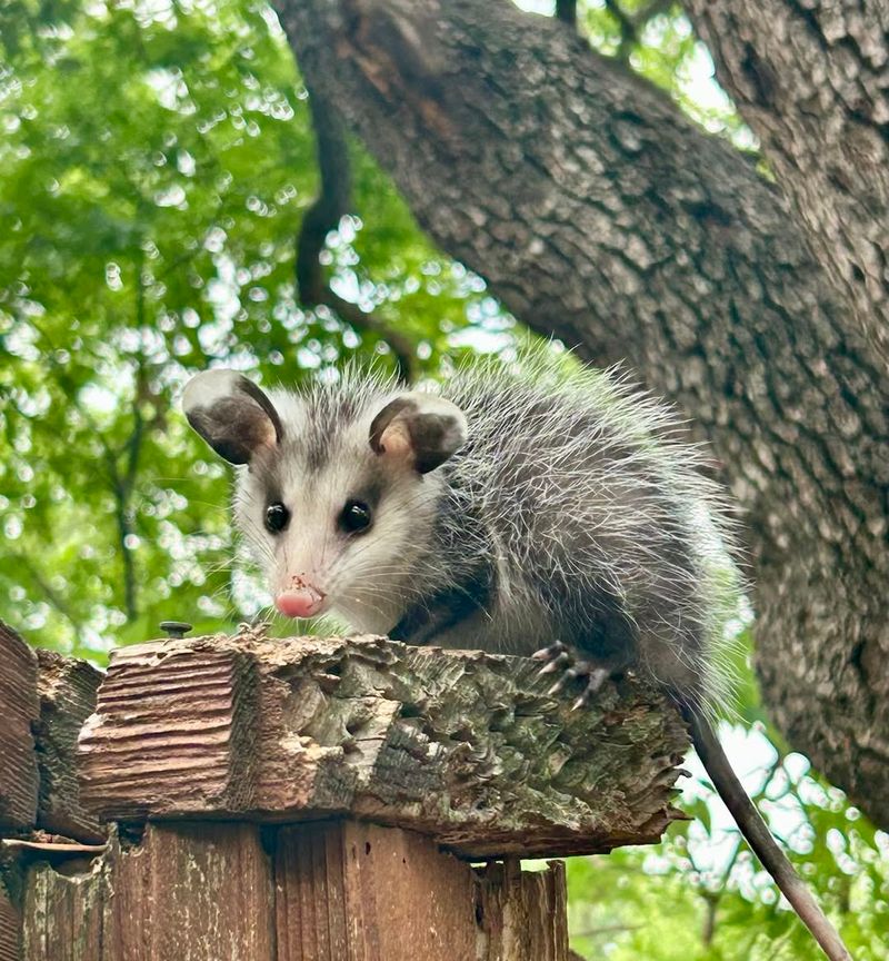 Document The Visit With Photos