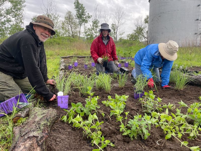 Support Local Conservation Groups