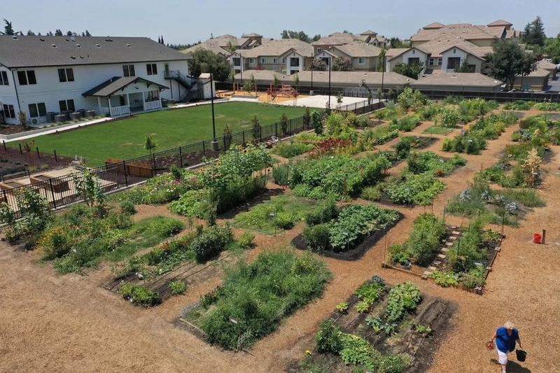 Building Community Through Shared Garden Spaces