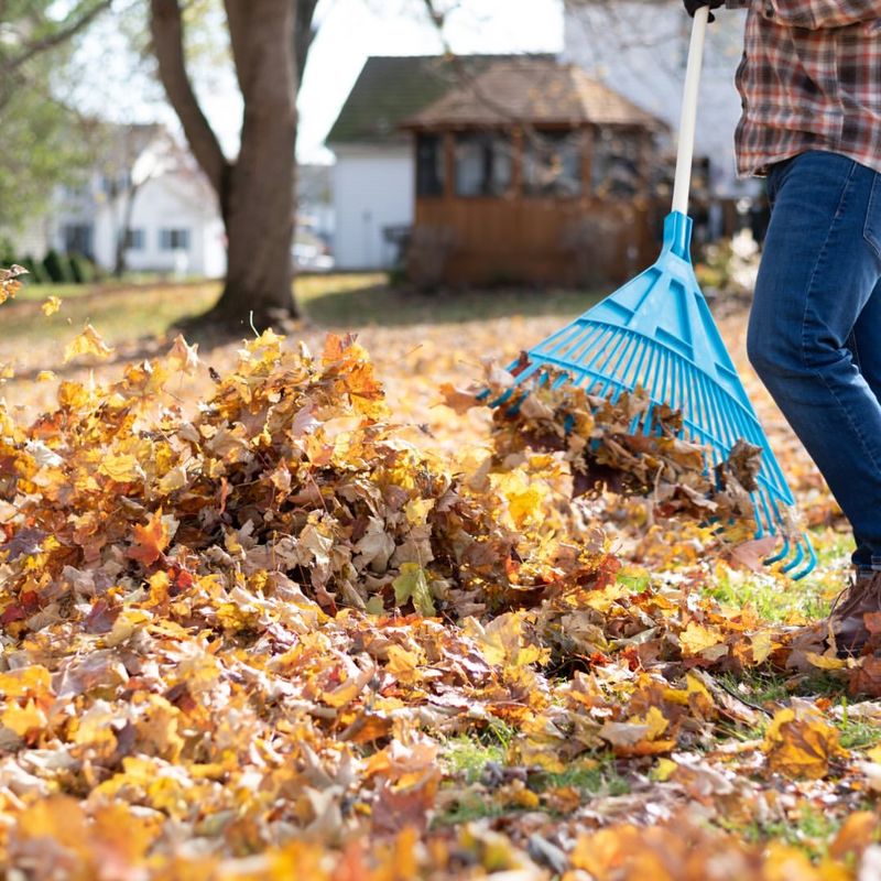 Avoid Fall Garden Cleanup