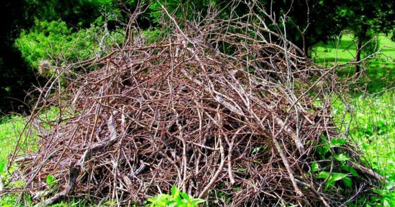 Create Brush Piles Or Natural Debris Areas