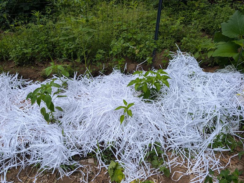 Newspaper Layers Under Mulch