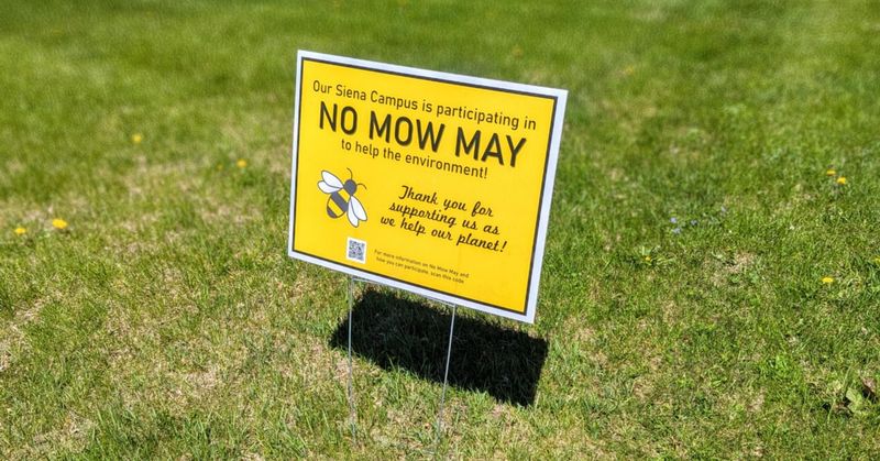 Skipping The Lawn Mowing Schedule