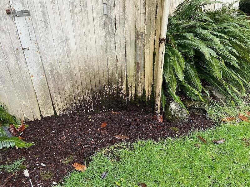 Failing To Seal Exterior Cracks And Gaps In Fall