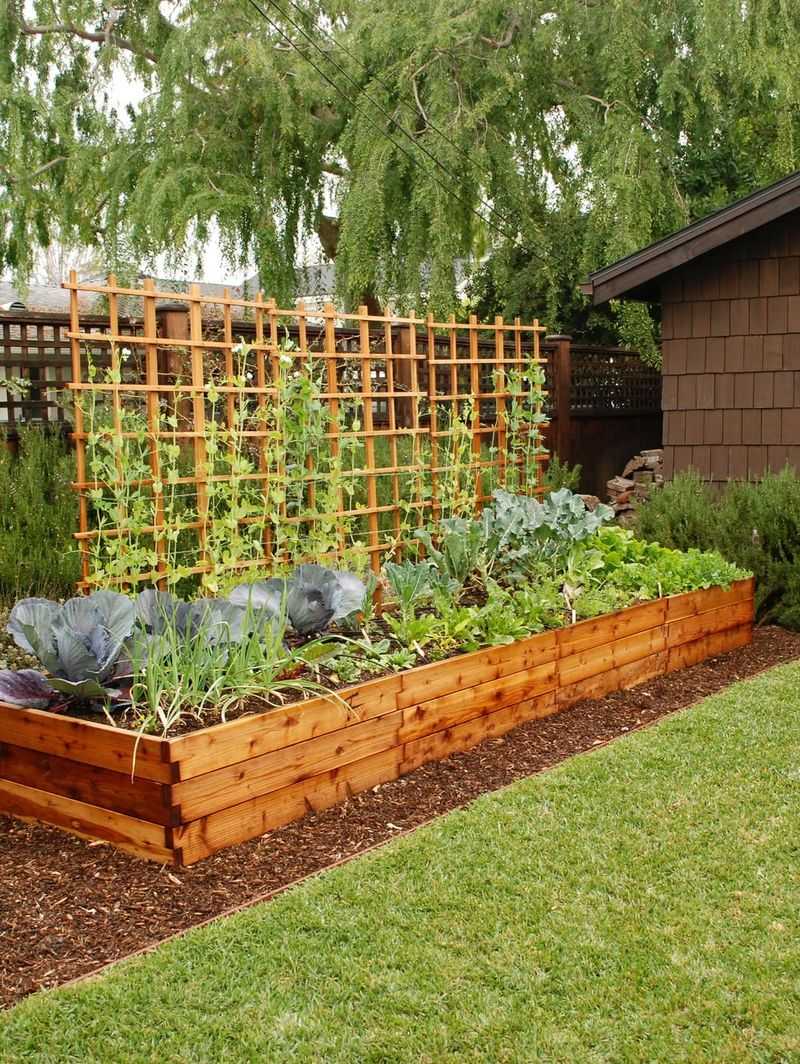 Reducing Lawn And Expanding Garden Beds