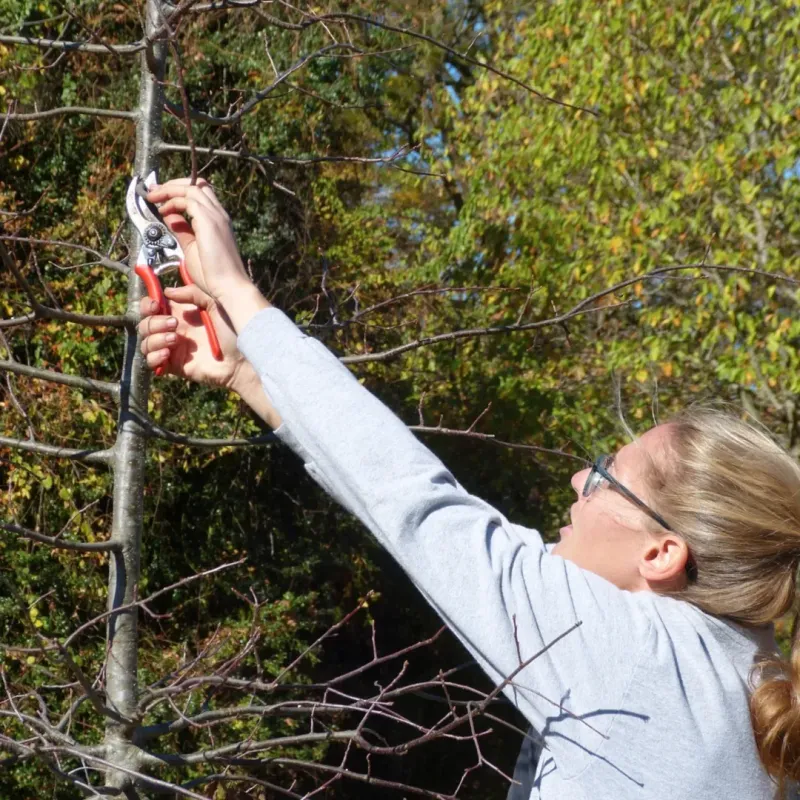 Prevention And Good Neighbor Relations Work Best