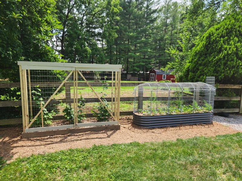 Building A Comprehensive Deer Management Plan