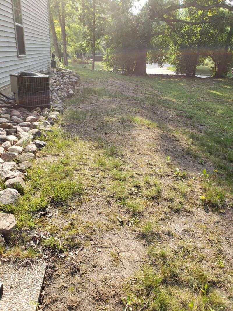 Long-Term Soil Recovery May Require Patience