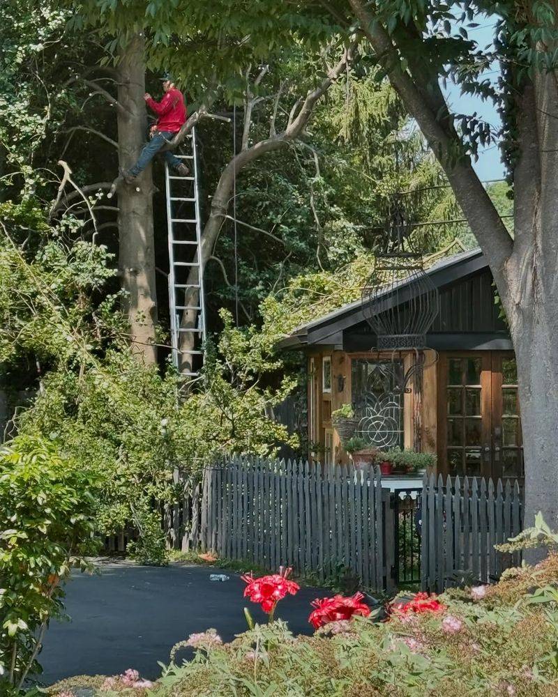 Shared Trees Require Cooperation