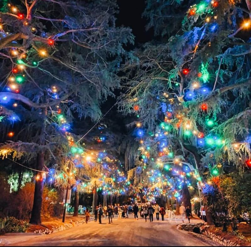 Regional Shape Preferences Across California