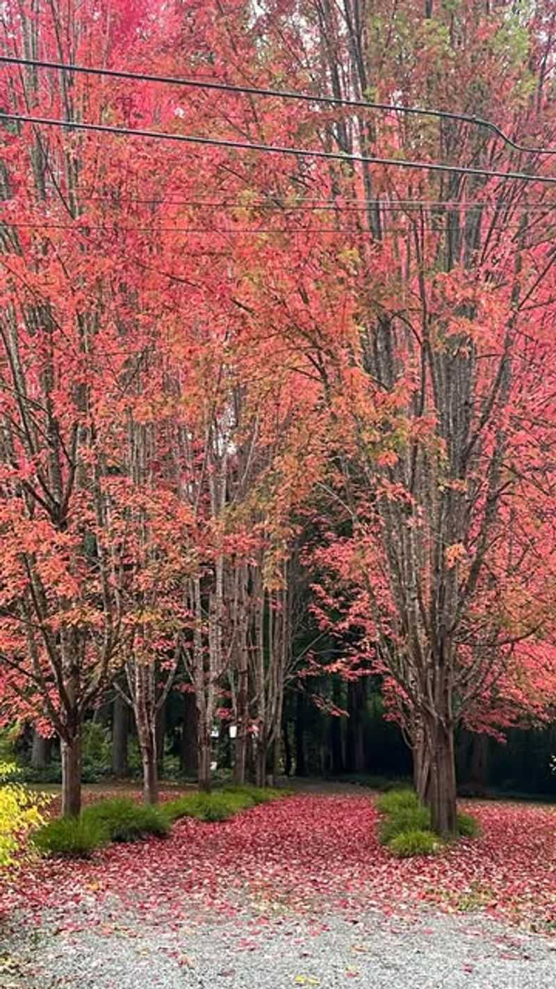 Seasonal Changes Provide Year-Round Beauty