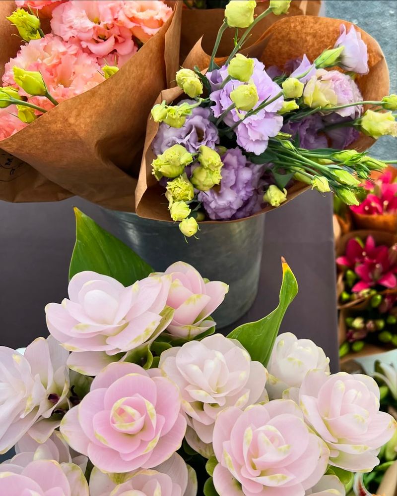 This Flower Comes In Every Color Imaginable