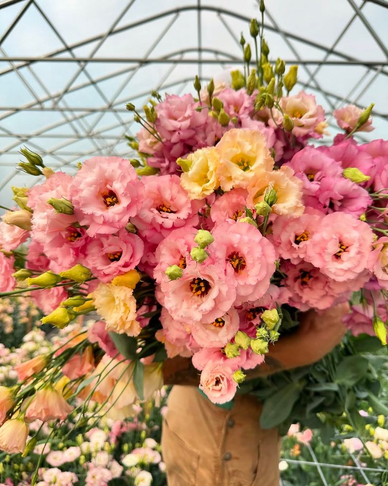 Perfect For Outdoor New York Weddings In Any Season