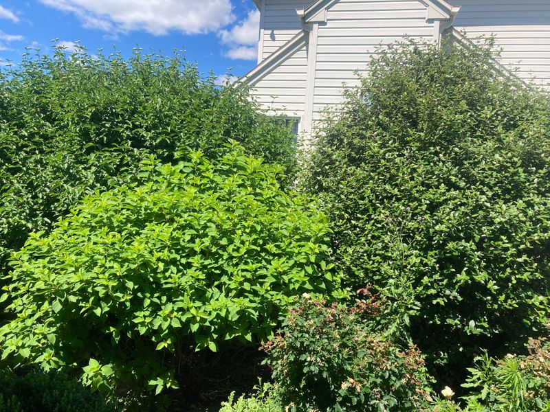 Documenting The Situation Protects You Legally