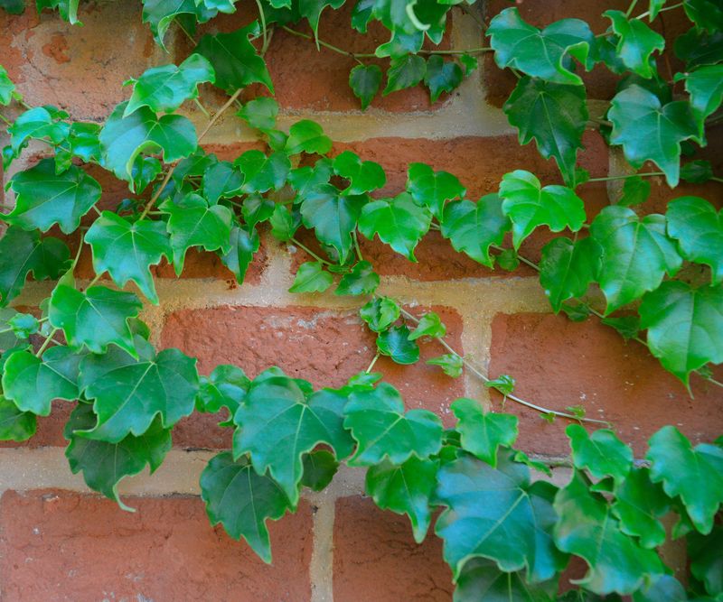 Disputes Can Lead To Nuisance Claims