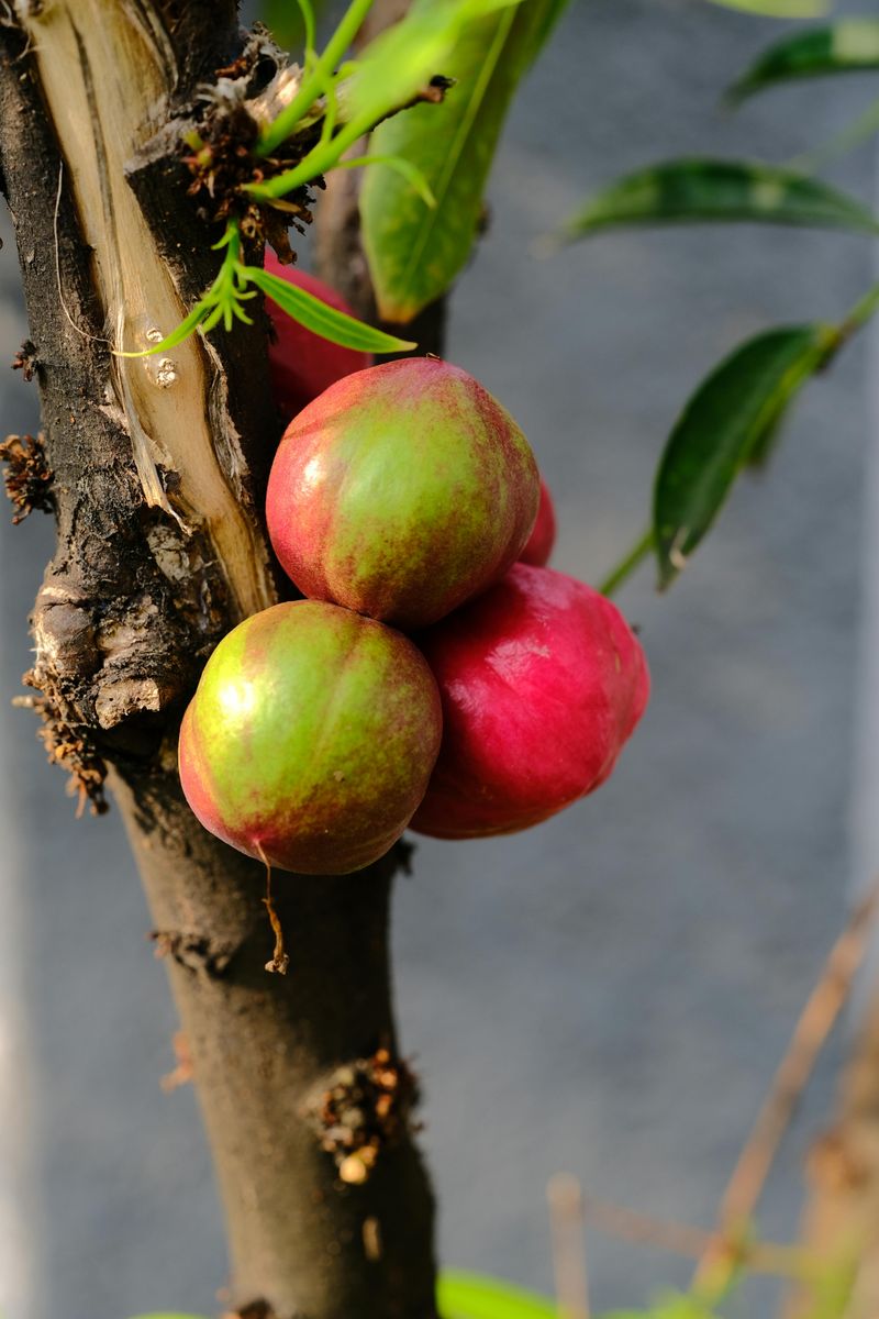 Nuisance Claims Can Complicate Matters