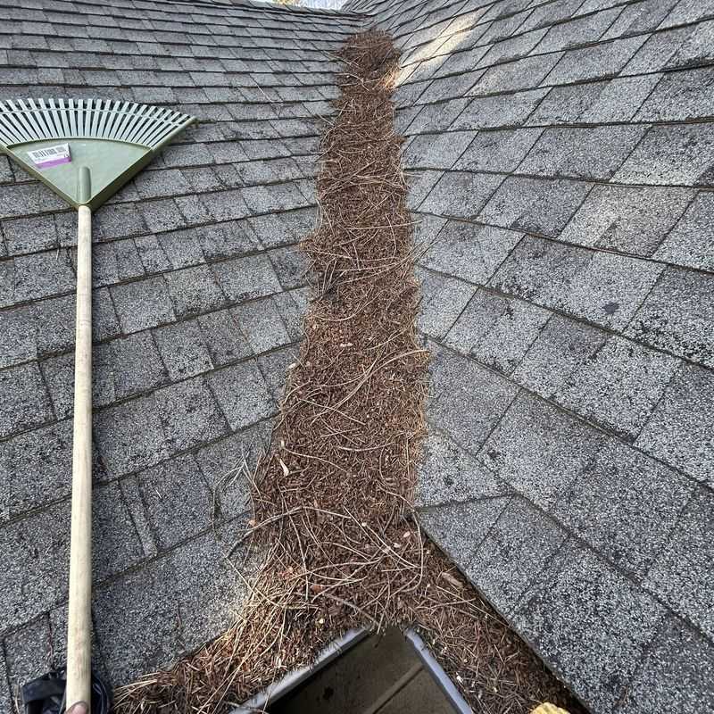 Gutter Maintenance Becomes Your Responsibility