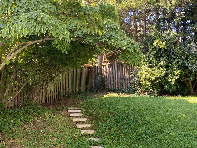 Talk To Your Neighbor Before You Start Cutting