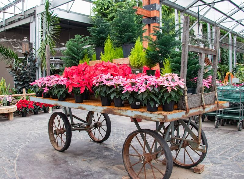 Customer Experience Enhancements Are Planned Months Ahead