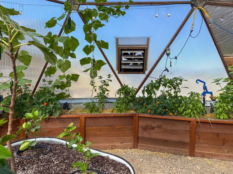 Protecting Plants From Colorado's Extreme Temperature Swings