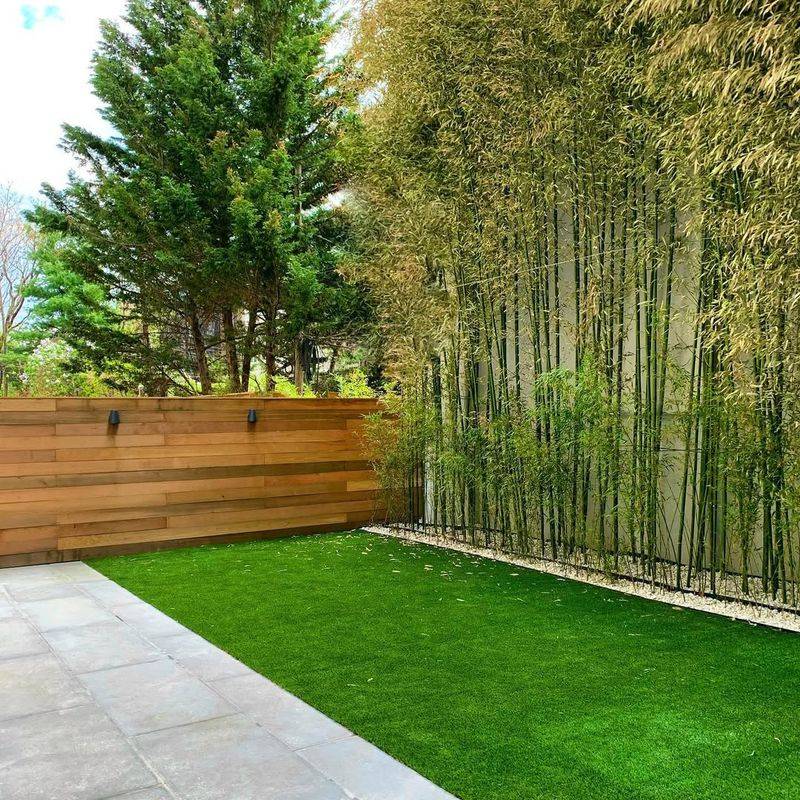 Landscaping Choices And Plant Restrictions