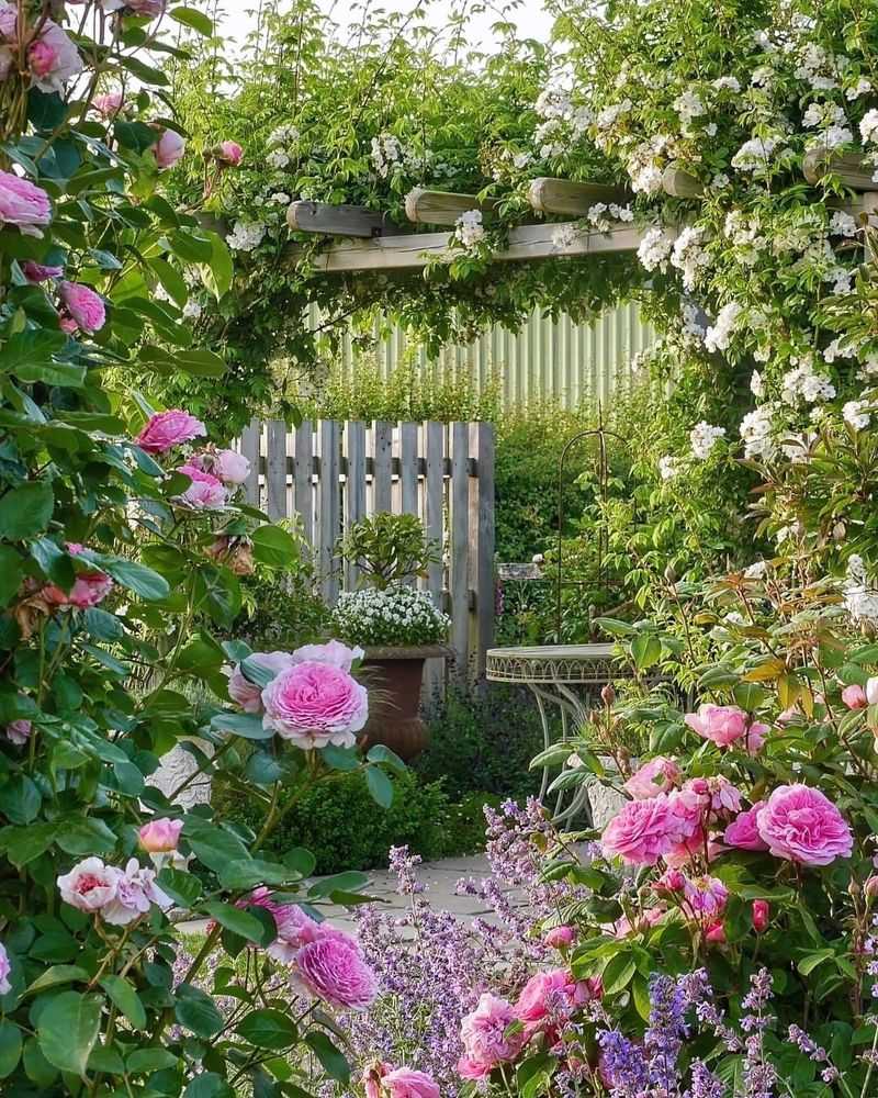 The Cozy Cottage Feel Everyone Loves