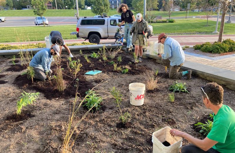 Chemical-Free Gardening Protects Ecosystems