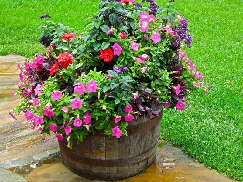 Perfect Solution For Texas Heat Challenges