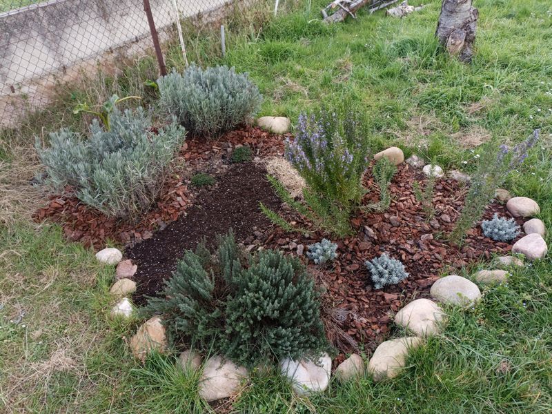 Natural Pest Deterrent Properties