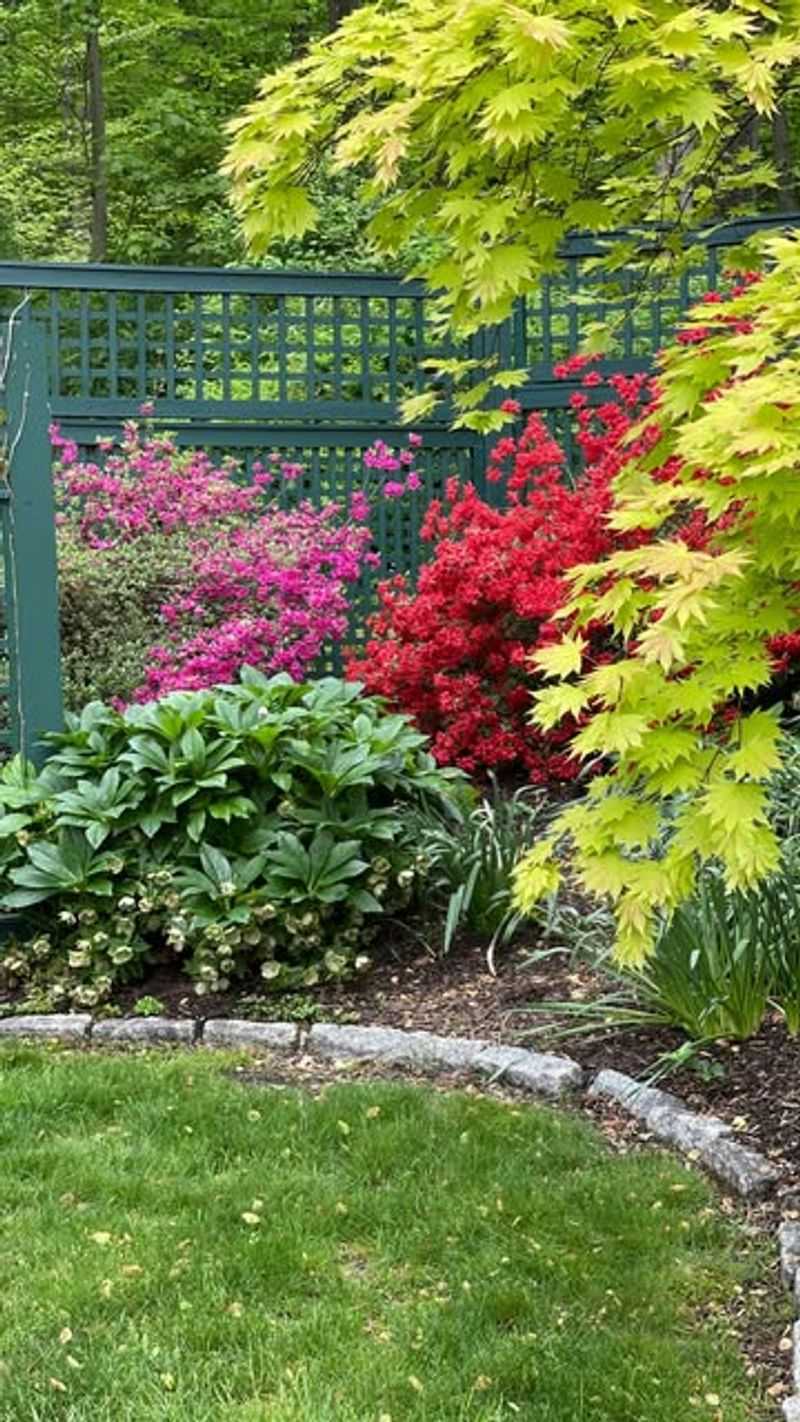 Year-Round Interest with Seasonal Plants