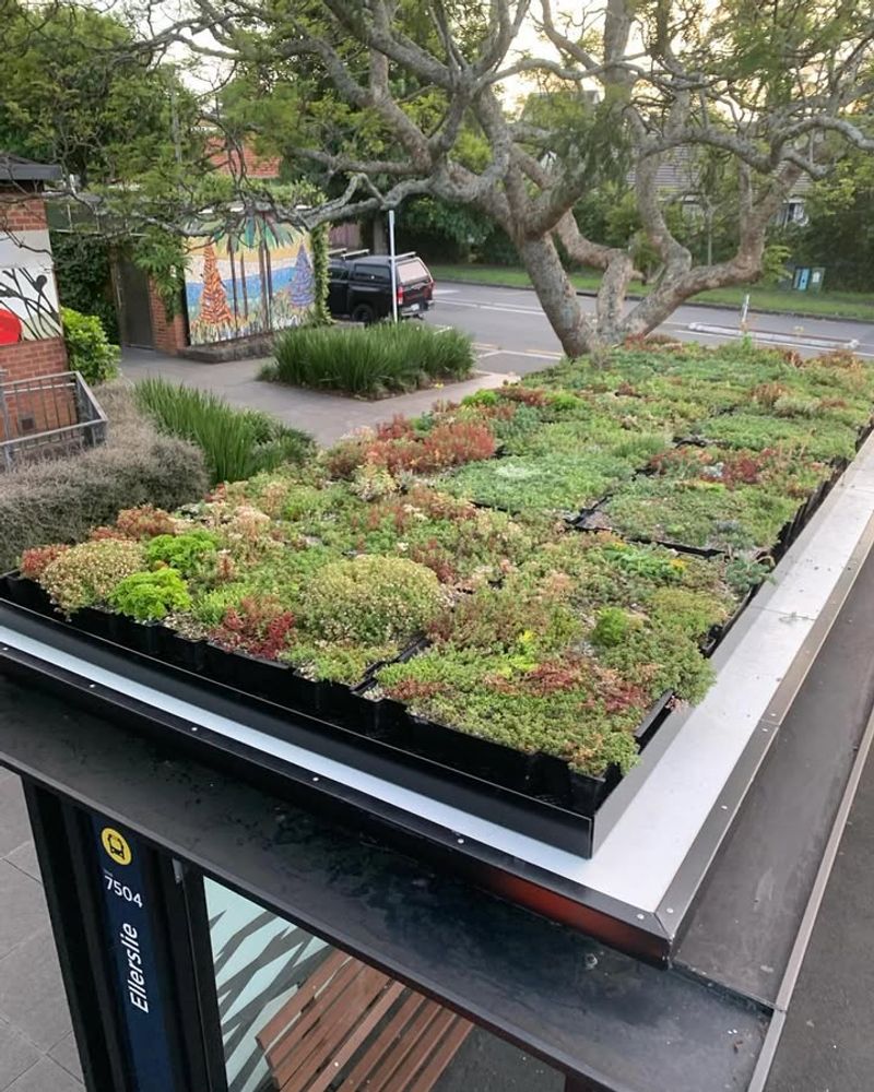 Improved Stormwater Management Protects Local Ecosystems