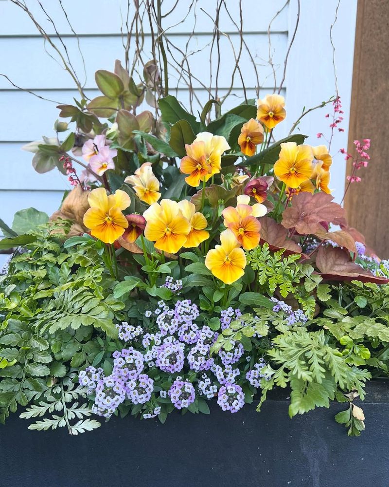 Excellent Companion Plants for Native Ferns