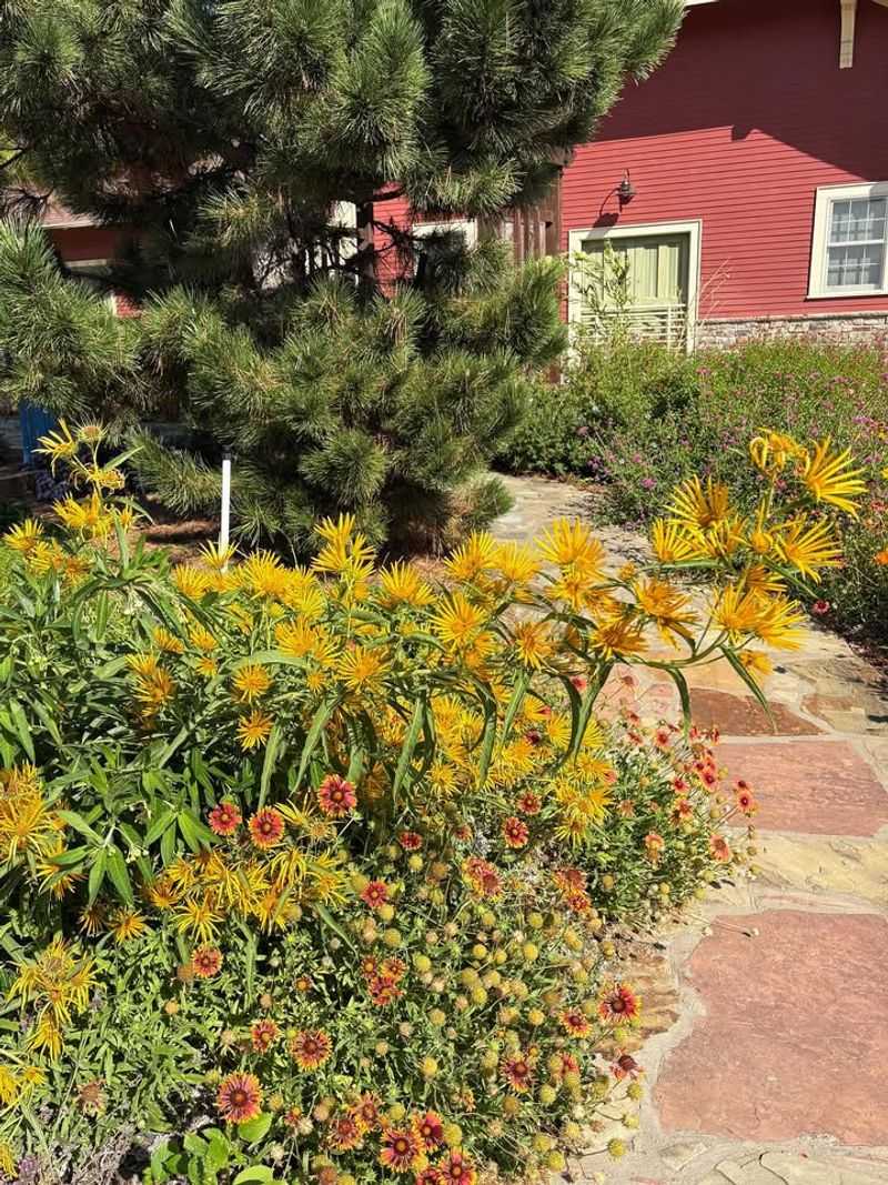 Climate Resilience And Adaptability