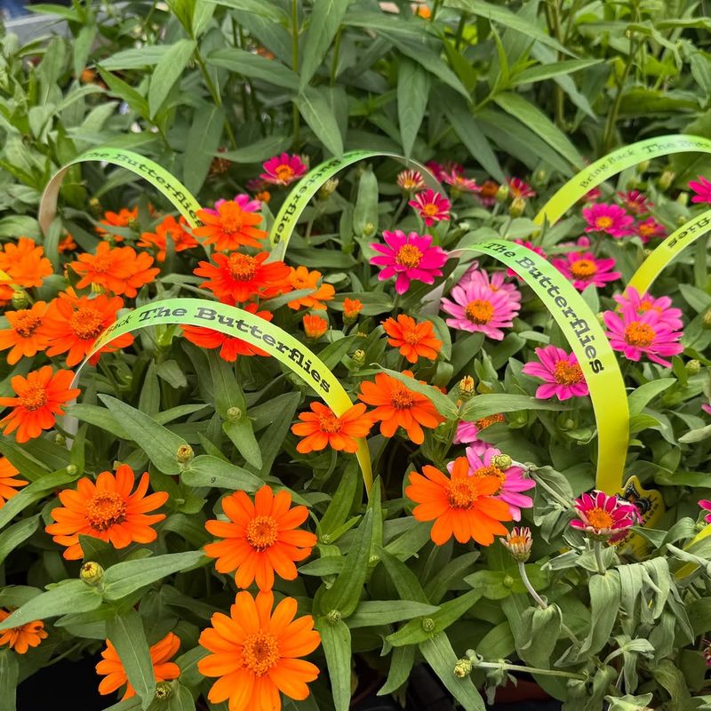 Environmental Benefits Support Local Ecosystems Effectively