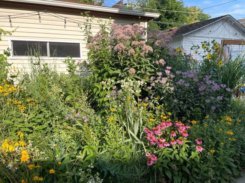 Pollinator Habitat Creation