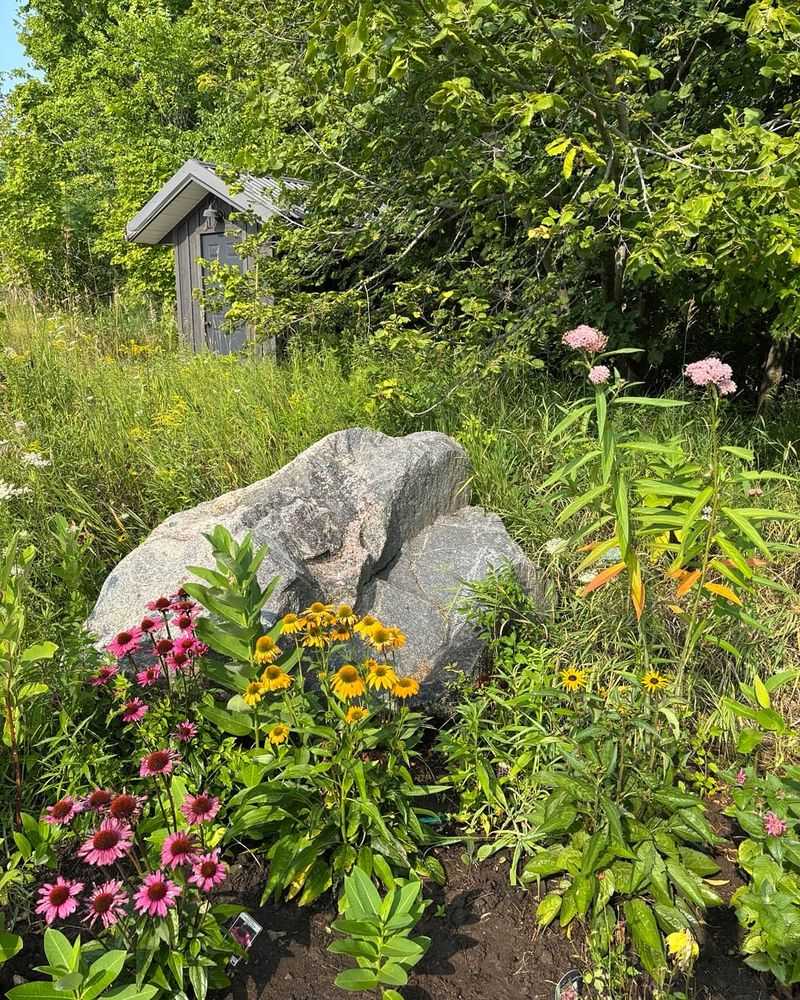 Supporting Local Pollinators And Wildlife