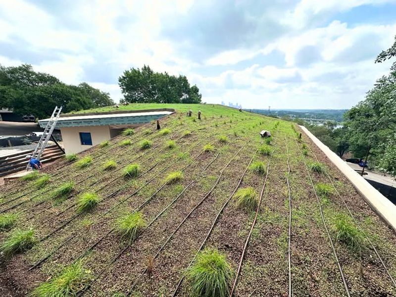 Supporting Local Wildlife And Pollinators