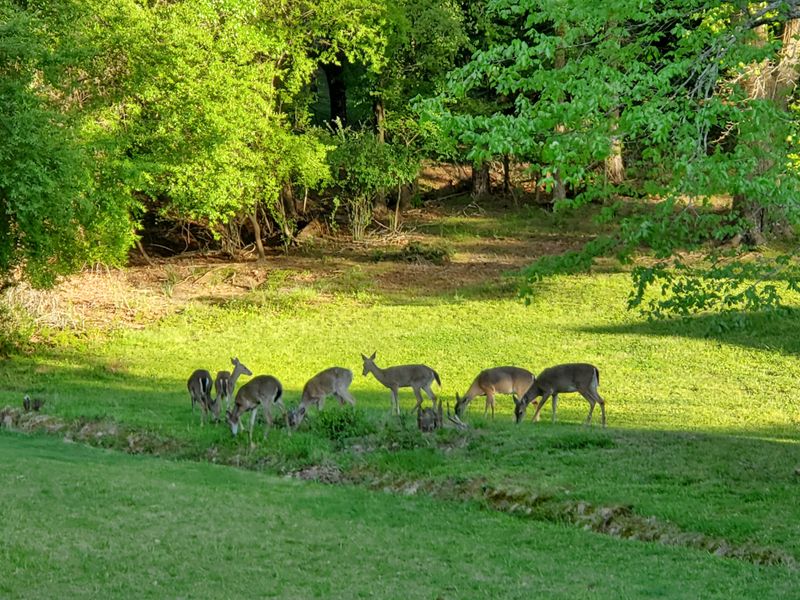 Athens Clarke County Greenway Network