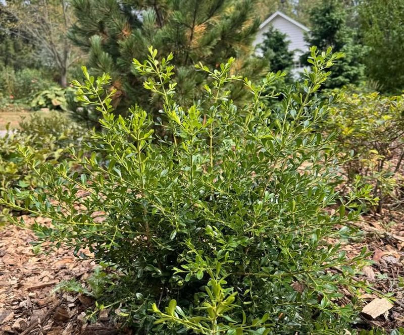 Climate Change Increases Disease Pressure Overall