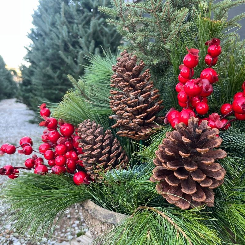 Frosted Pinecones And Natural Elements