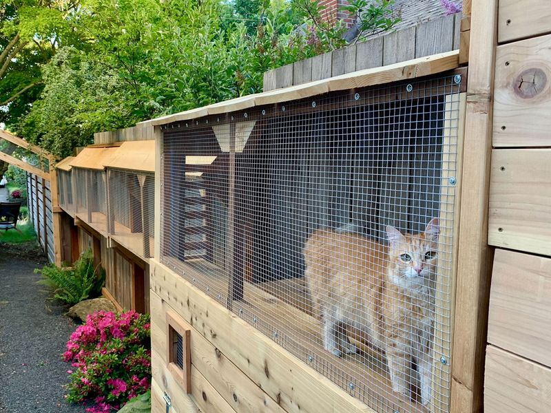 Keep Cats Indoors Or Create Enclosed Outdoor Spaces