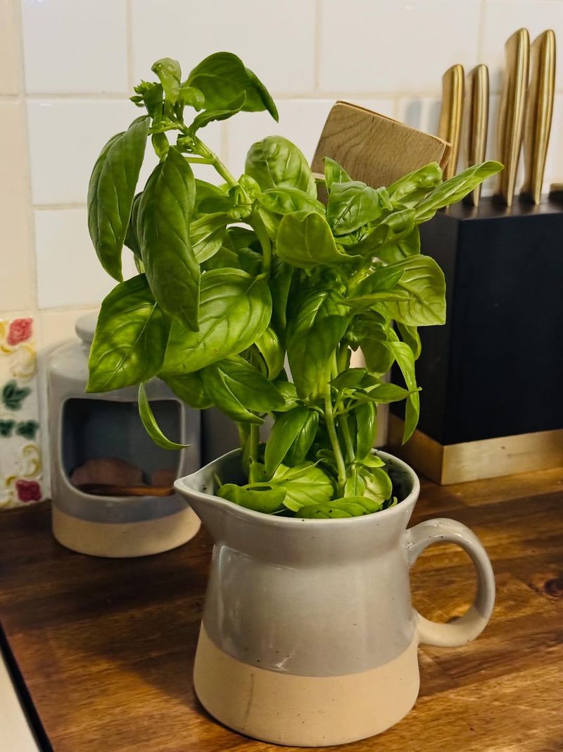 Keep Temperatures Consistent And Away From Cold Drafts