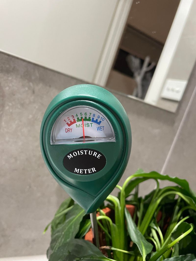 Adjust Watering Schedules Carefully