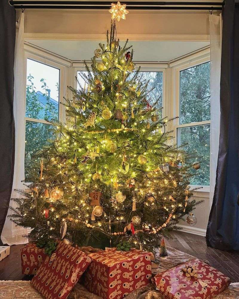 Avoid These Common Mistakes That Accelerate Needle Drop