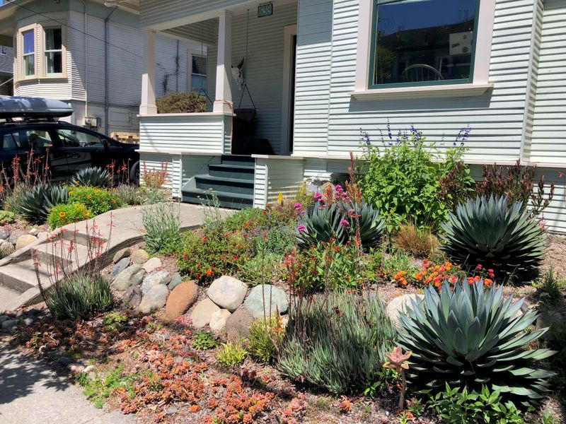 Drought Resistance Provides Peace Of Mind During Dry Seasons