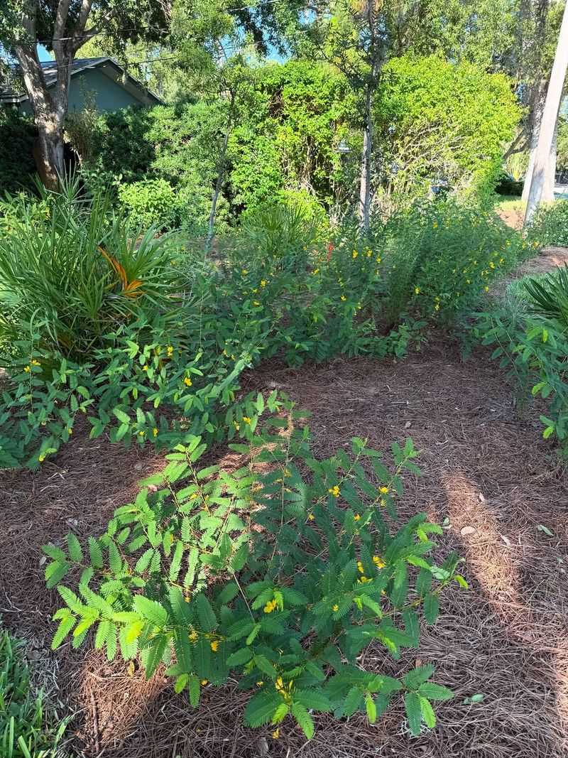 Soil Health Improves Naturally